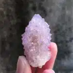 Améthyste Cactus 2