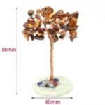Taille Arbre Oeil de Tigre